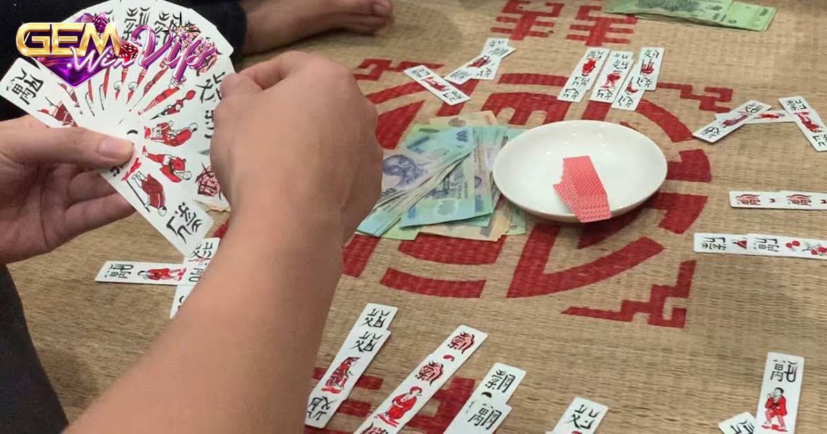 Tổng quan về bài chắn