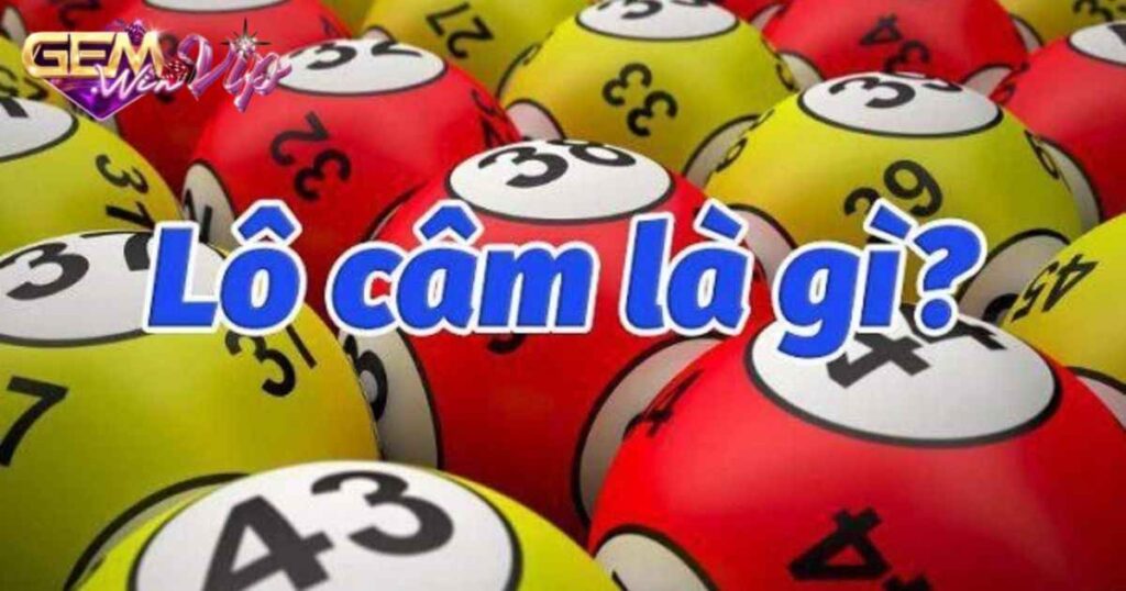 Lô Câm Là Gì? Kinh Nghiệm Chơi Lô Câm Hiệu Quả Từ Cao Thủ